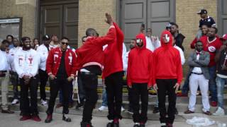 Kappa Alpha Psi Spring 17 Probate Gamma Upsilon chapter SIUC [upl. by Ellehcan630]