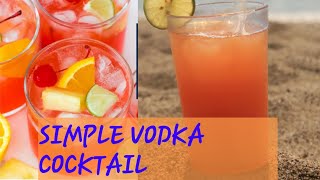 Simple Vodka Punch  Adult cocktails [upl. by Seel]