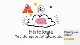 Histologia Tecido epitelial glandular [upl. by Miarhpe]