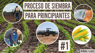 PROCESO DE SIEMBRA DE MAÍZ PARA PRINCIPIANTES 1 [upl. by Hawger]