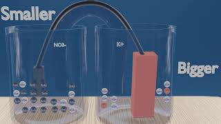 Galvanic cells explained in UNDER 5 MINUTES [upl. by Oiluig659]