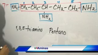 Aminas Nomenclatura Química Orgánica Parte 1 [upl. by Micheil748]