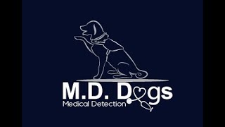 Medical Alert Dog  Bringsel Training Instructions  MD Dogs Inc [upl. by O'Shee]