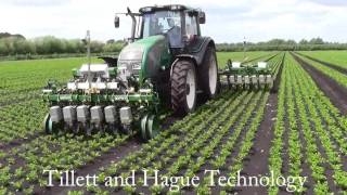 High Speed Electric Inrow Weeding [upl. by Trudy980]