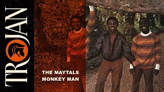 The Maytals Monkey Man official audio [upl. by Vaasta283]