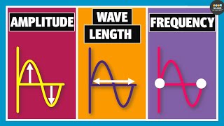 Wavelength Frequency Time Period and Amplitude  Physics [upl. by Sinnod852]