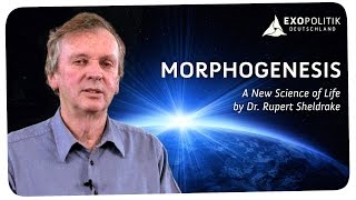 Rupert Sheldrake Morphogenesis  A New Science of Life [upl. by Hardigg765]