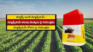 Sumi Max  Best Herbicide for Soybean Weeds Telugu [upl. by Meridel853]