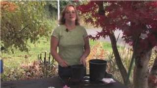 Gardening Tips  How to Plant Astilbe [upl. by Crane]