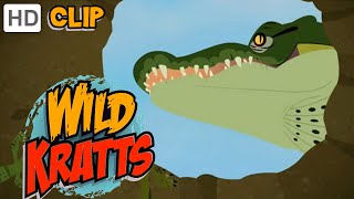 Wild Kratts  The Great Crocodile Hatching [upl. by Garfield]