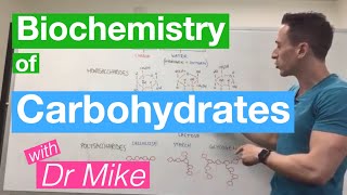 Carbohydrates  Biochemistry [upl. by Culbert]