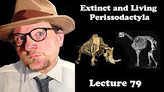 Lecture 79 Extinct and Living Perissodactyla [upl. by Orola918]