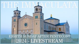 Eighth Sunday after Pentecost  The Immaculata [upl. by Jerome]