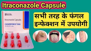 Itraconazole capsule 200 mg  Candiforce capsule [upl. by Doowron]