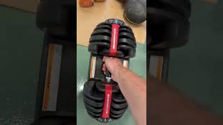 I Found the BEST Adjustable Dumbbells for HOME Workouts with BowFlex SelectTech 552 [upl. by Ellehciram]