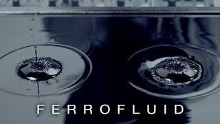 Cymatics Ferrofluid [upl. by Acsecnarf964]