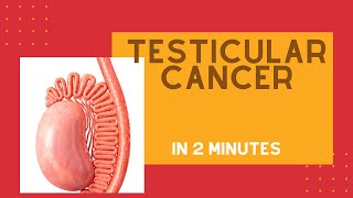 Testicular cancer in under 2 mins [upl. by Lessirg956]