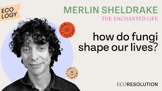 Merlin Sheldrake The Entangled Life How Fungi Make Our Worlds Change Our Minds Shape Our Future [upl. by Kerrie]