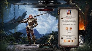 Divinity Original Sin 2  Complete Walkthrough [upl. by Aileen]