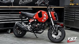 AllNew 2022 Honda Grom First Impressions [upl. by Auohs408]