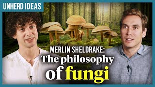 Merlin Sheldrake The philosophy of fungi [upl. by Llertnod]