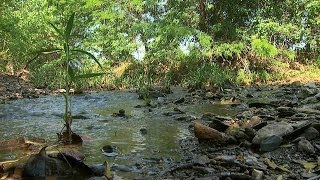 Natural Stream Restoration Streams in Nature Part I [upl. by Cinderella]