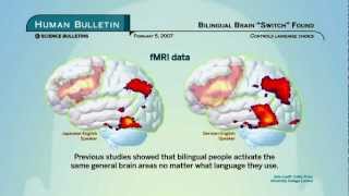 Science Bulletins Bilingual Brain Switch Found [upl. by Ahselaf]