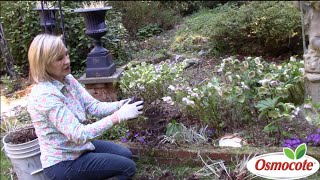 How to Separate amp Replant Astilbes in Deep Shade [upl. by Balbinder]