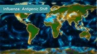 How Influenza Pandemics Occur [upl. by Adnalram]