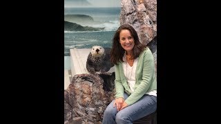 What to Expect during the Sea Otter Encounter at the Georgia Aquarium [upl. by Nareht995]