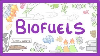 GCSE Physics  Biofuels 12 [upl. by Hammock]