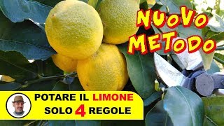 POTARE IL LIMONE SOLO 4 REGOLE [upl. by Warde]