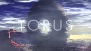 Sub Focus Torus [upl. by Marijane260]