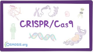 Crispr Cas9 Genome Editing System [upl. by Curtis]