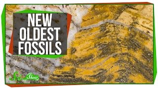 The Oldest Fossils Ever Found [upl. by Yate]