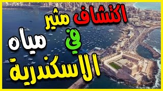 اكتشاف مثير في مياه الاسكندرية [upl. by Htepsle]