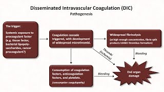 Thrombocytopenia Hemostasis  Lesson 8 [upl. by Tyler]