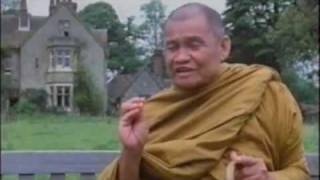 Compilation of Ajahn Chahs Teaching หลวงปู่ชา Ajahn Chah Theravada Buddhism [upl. by Raquela725]