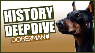 The History of the DOBERMAN [upl. by Aeuhsoj157]