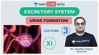 Excretory System  Lecture 3  Unacademy NEET  LIVE DAILY  NEET Biology  Dr Sachin Kapur [upl. by Neidhardt]