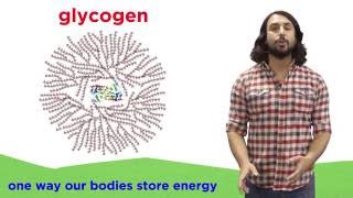 Carbohydrates Part 2 Polysaccharides [upl. by Orpheus]