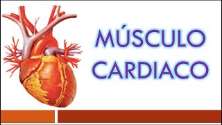 TEJIDO MUSCULAR Músculo Cardiaco [upl. by Desirae]