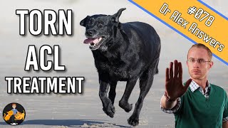 The Best Torn Dog ACL Treatment  Surgery or Home Management  Dog Care Vet Advice [upl. by Keefe]