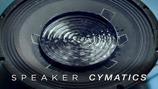 Cymatics Speaker Dish [upl. by Haram]