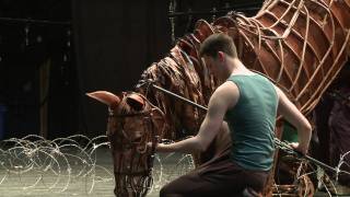 War Horse London 2011 company in rehearsals [upl. by Gladi]