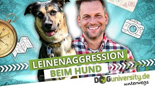 LEINENAGGRESSION beim Hund ► Ursachen und wie du sie behebst  DOGUNIVERSITY UNTERWEGS [upl. by Etnoved]