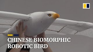 Chinese biomorphic robotic bird [upl. by Jimmie]