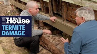 How to Prevent Termite Damage  This Old House [upl. by Tudor780]