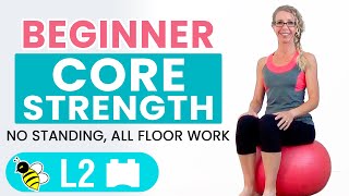 BEGINNER CORE  15 Minute STABILITY BALL Workout for BEGINNERS [upl. by Aidin]