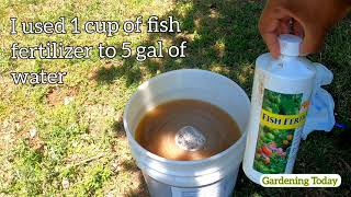 How to use Alaska Fish Fertilizer [upl. by Annaiuq]